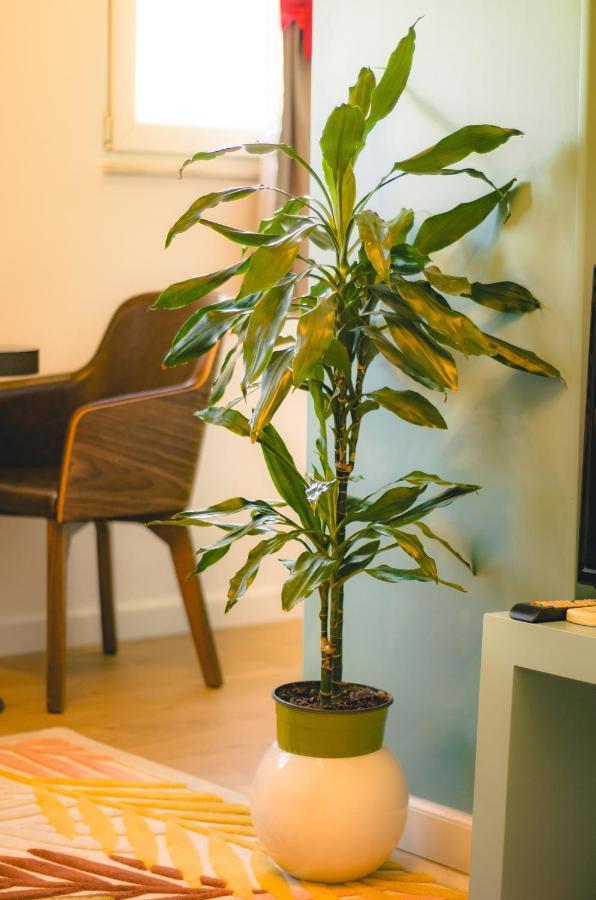 Bright Apartment Close To City Center تيرانا المظهر الخارجي الصورة
